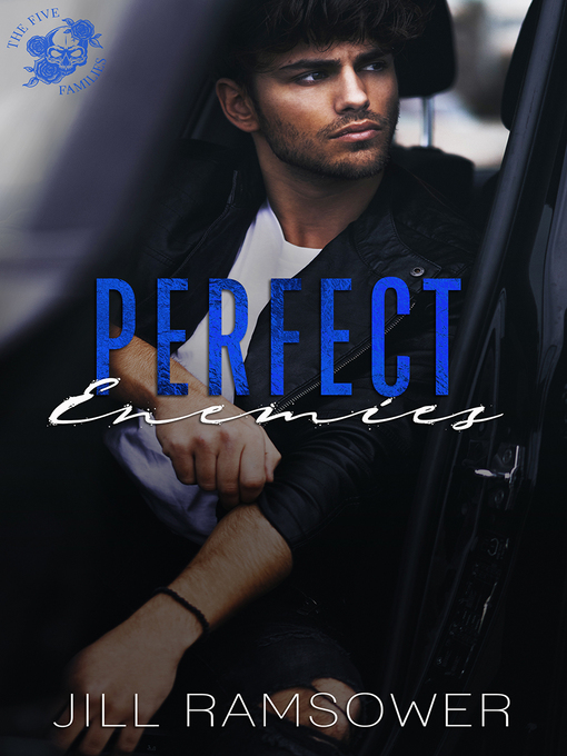 Title details for Perfect Enemies by Jill Ramsower - Available